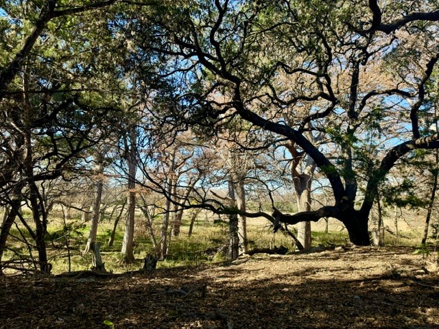 140 Spring Branch Drive Leakey, TX 78873 - Photo 9 of 19