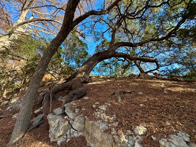 140 Spring Branch Drive Leakey, TX 78873 - Photo 10 of 19