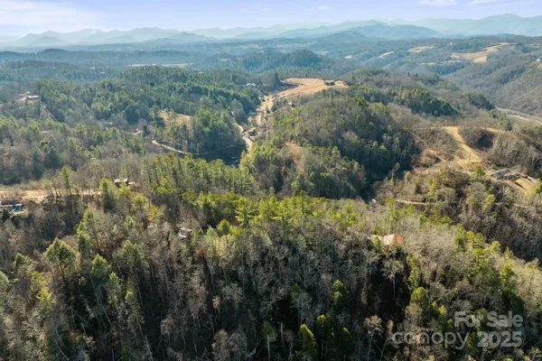 a view of a yard with trees