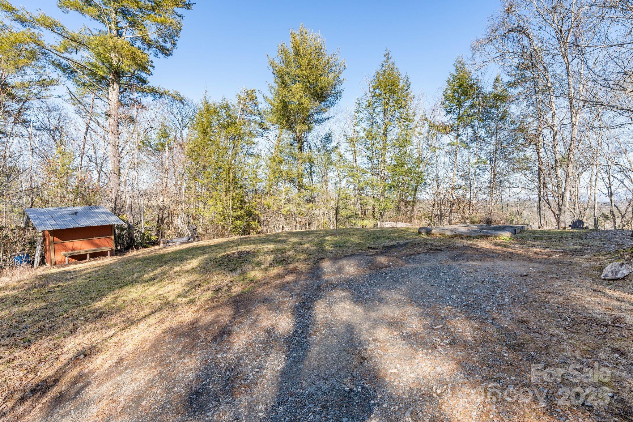 131 Ivy Blfs Road, Unit 3 Marshall, NC 28753 - Photo 16 of 24 a view of outdoor space with trees