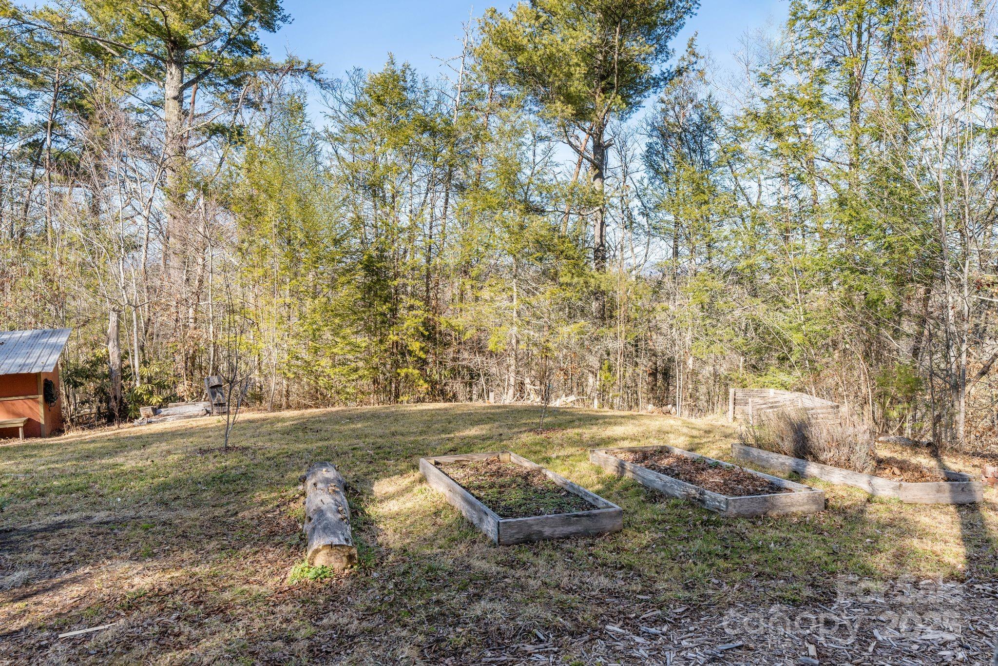 131 Ivy Blfs Road, Unit 3 Marshall, NC 28753 - Photo 17 of 24 a view of a yard with an trees