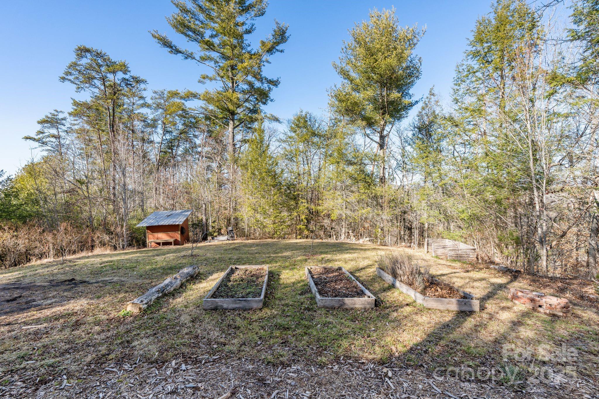 131 Ivy Blfs Road, Unit 3 Marshall, NC 28753 - Photo 18 of 24 a view of a yard with an trees