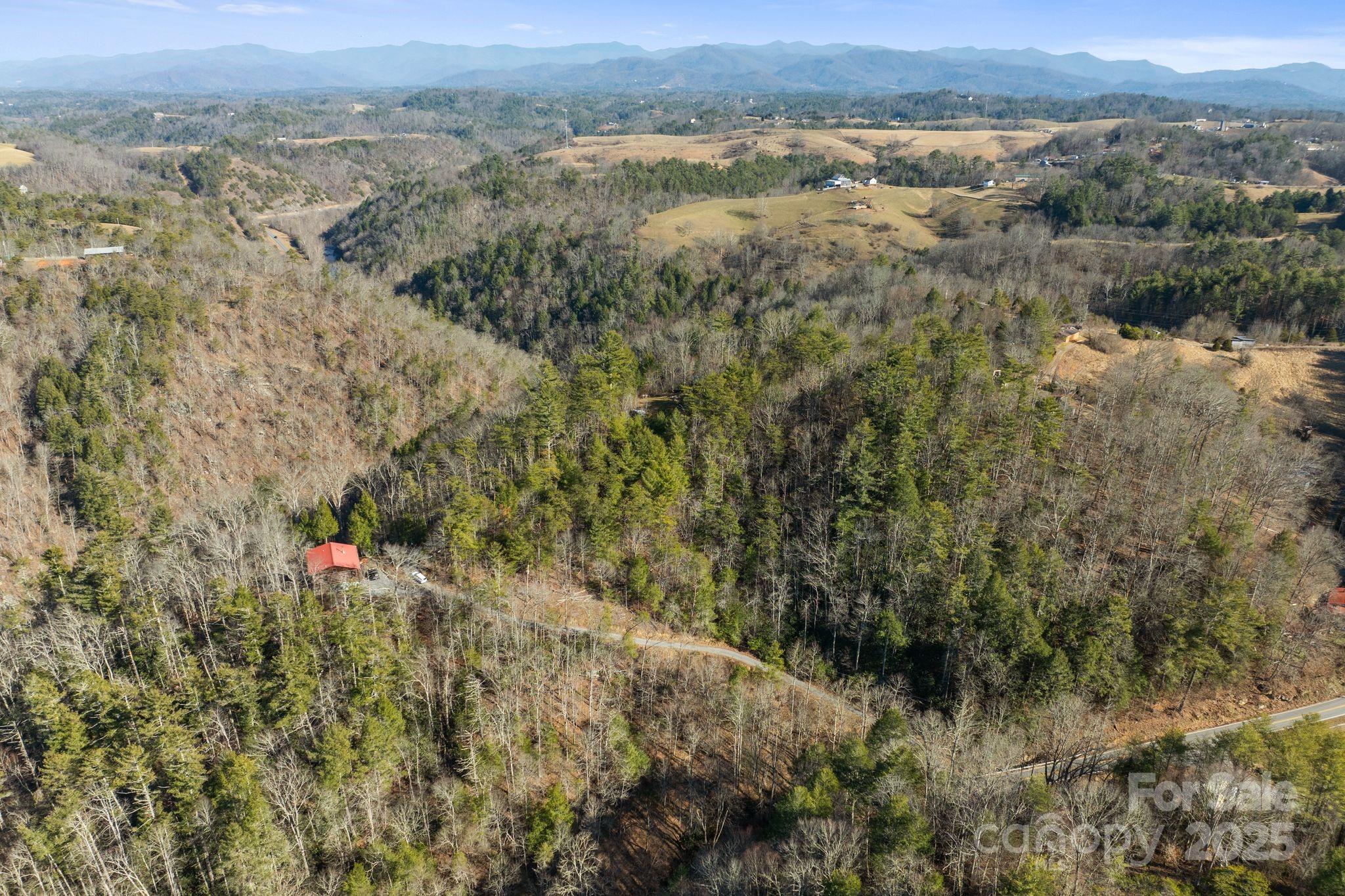 131 Ivy Blfs Road, Unit 3 Marshall, NC 28753 - Photo 21 of 24 an aerial view of residential houses with outdoor space and trees