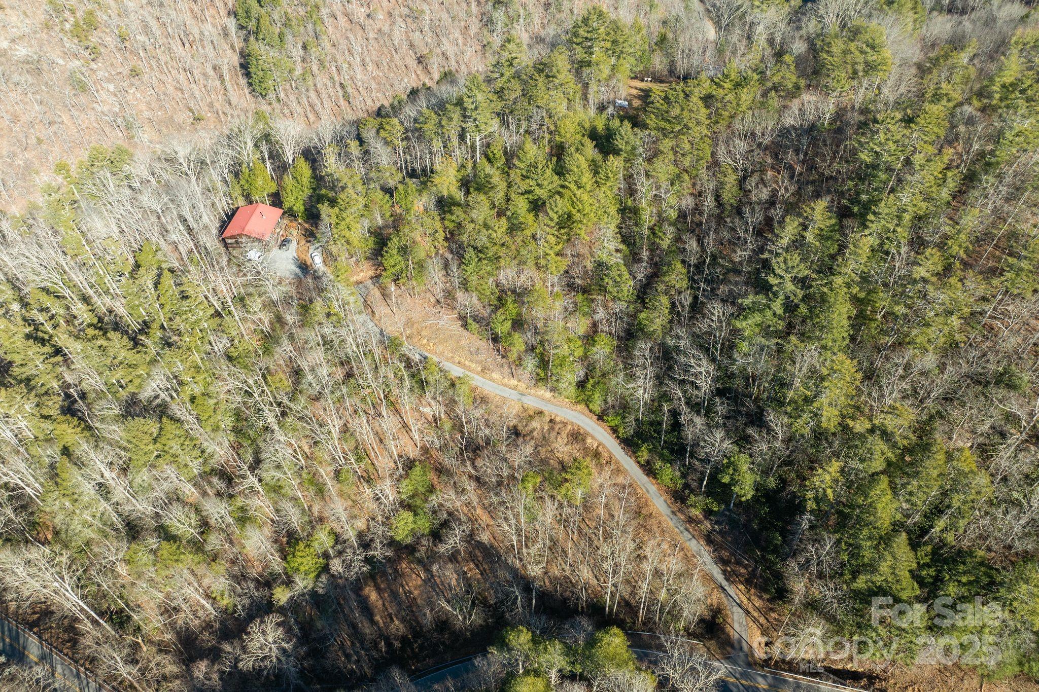 131 Ivy Blfs Road, Unit 3 Marshall, NC 28753 - Photo 22 of 24 a view of a forest with a tree