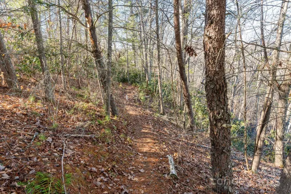 a view of lake and mountain