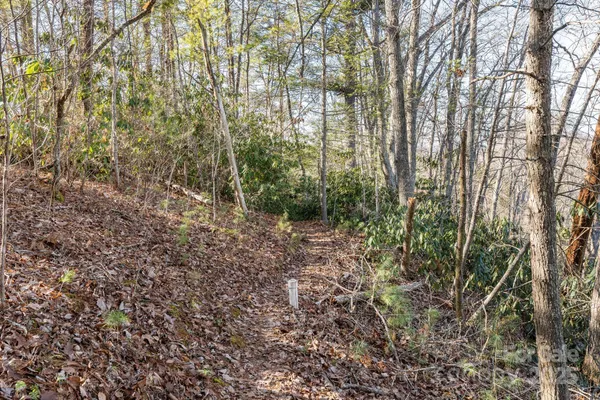 a view of city and mountain