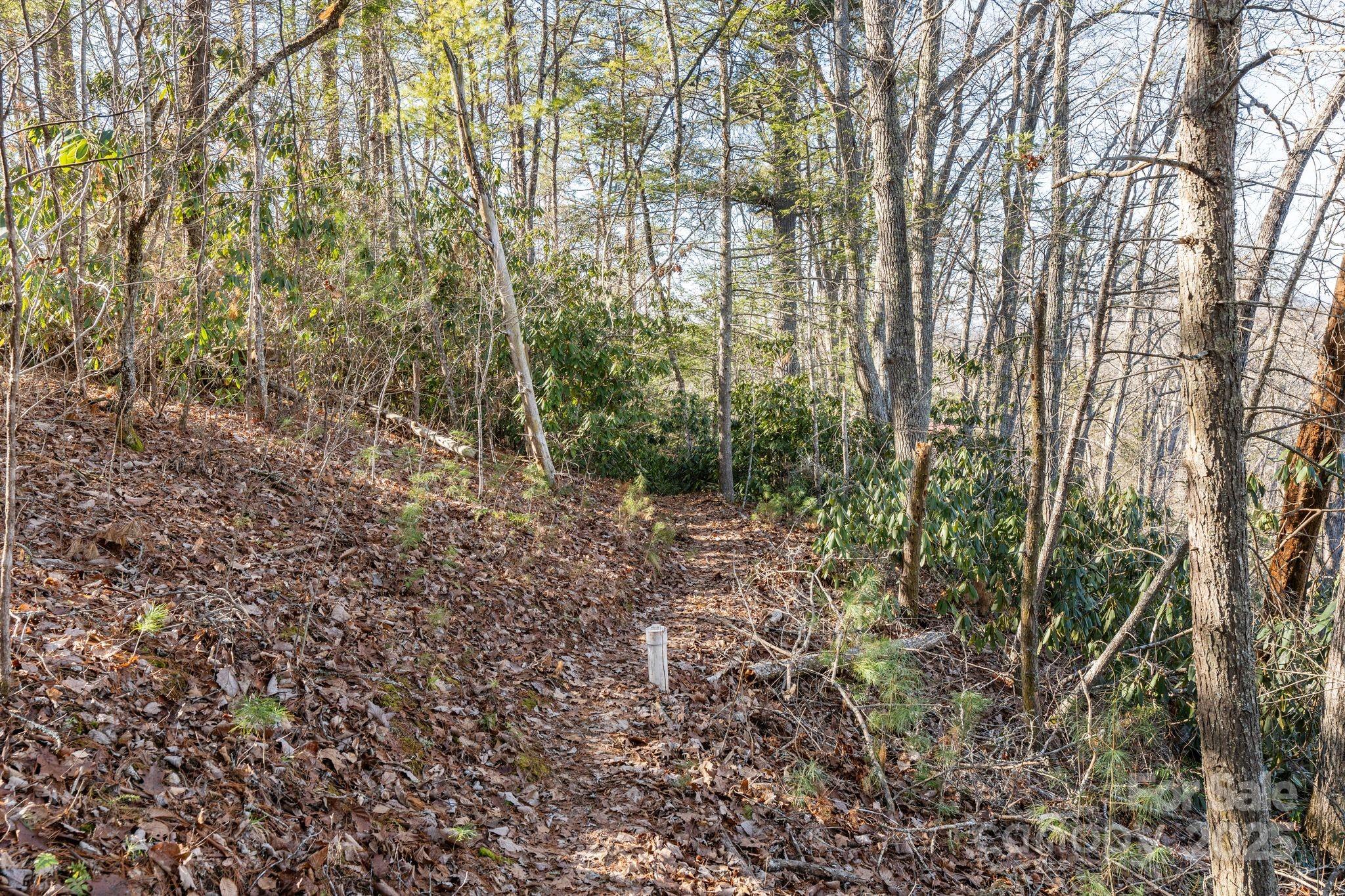 131 Ivy Blfs Road, Unit 3 Marshall, NC 28753 - Photo 8 of 24 a view of forest