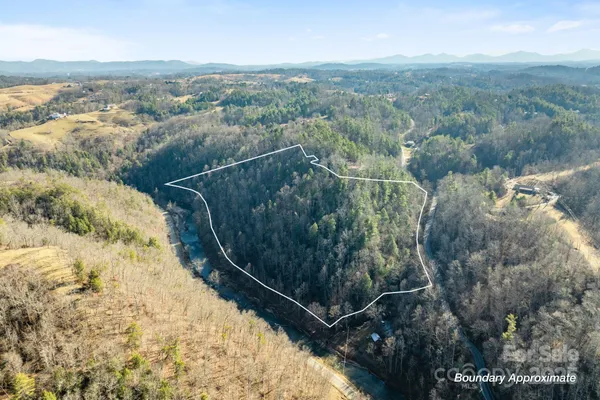 a view of a lake with a mountain in the background
