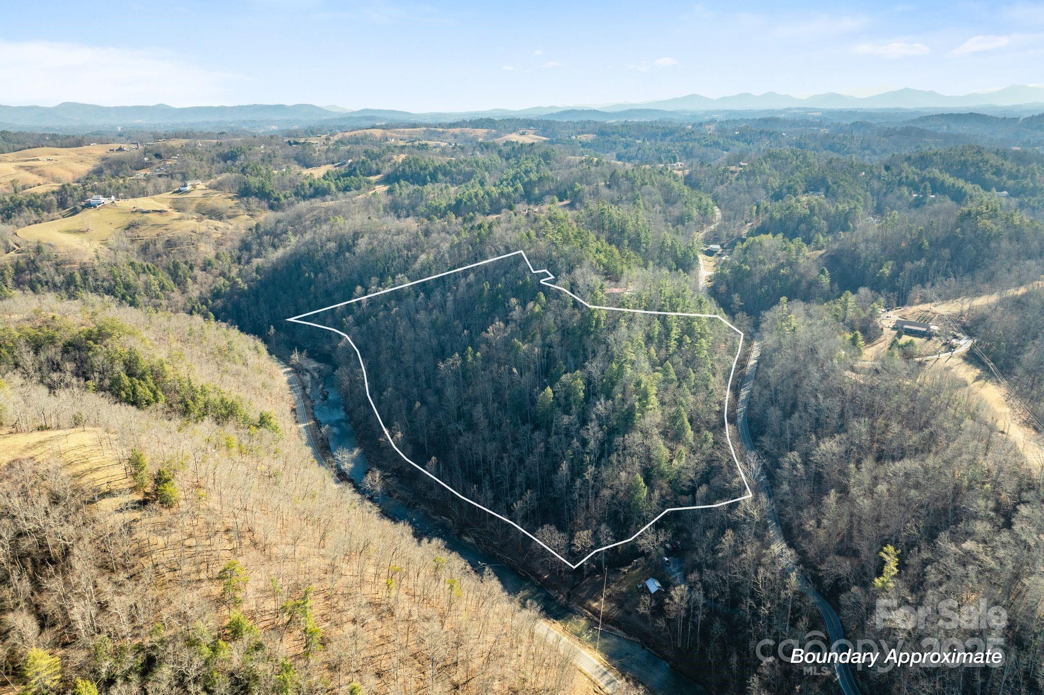 131 Ivy Blfs Road, Unit 3 Marshall, NC 28753 - Photo 9 of 24 a view of a forest