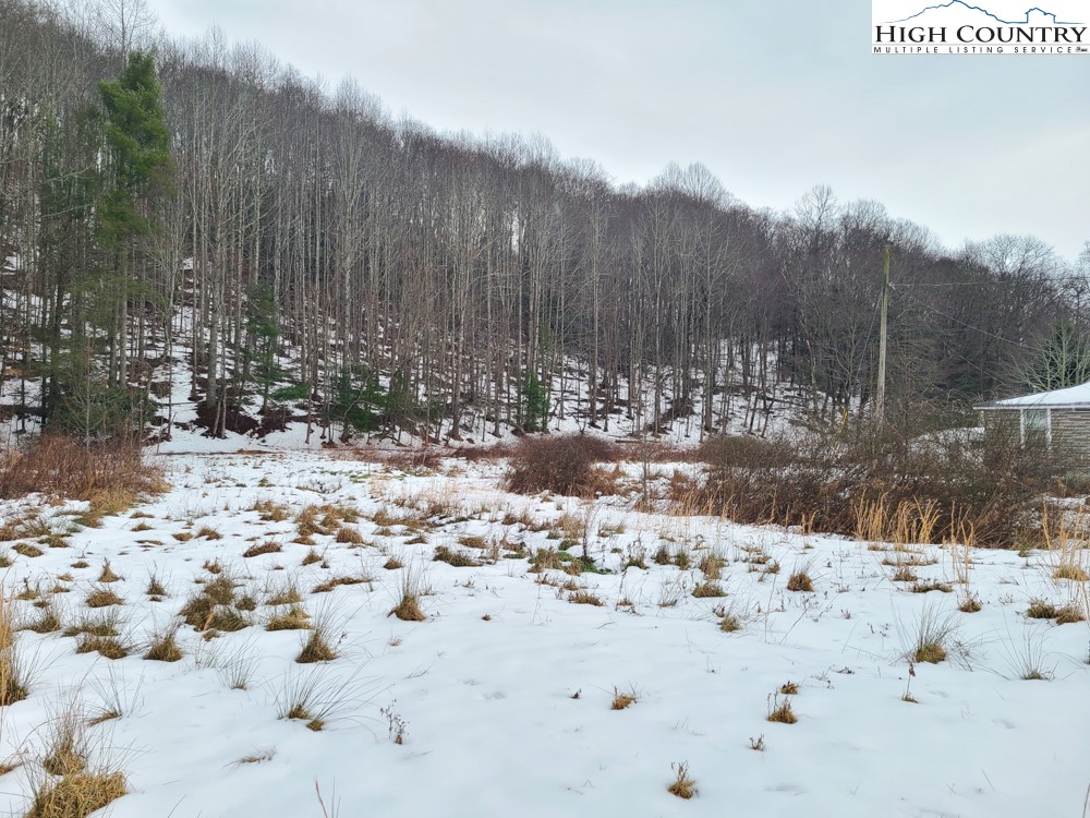 George Wilson Road Boone, NC 28607 - Photo 3 of 7 Gallery Image 3