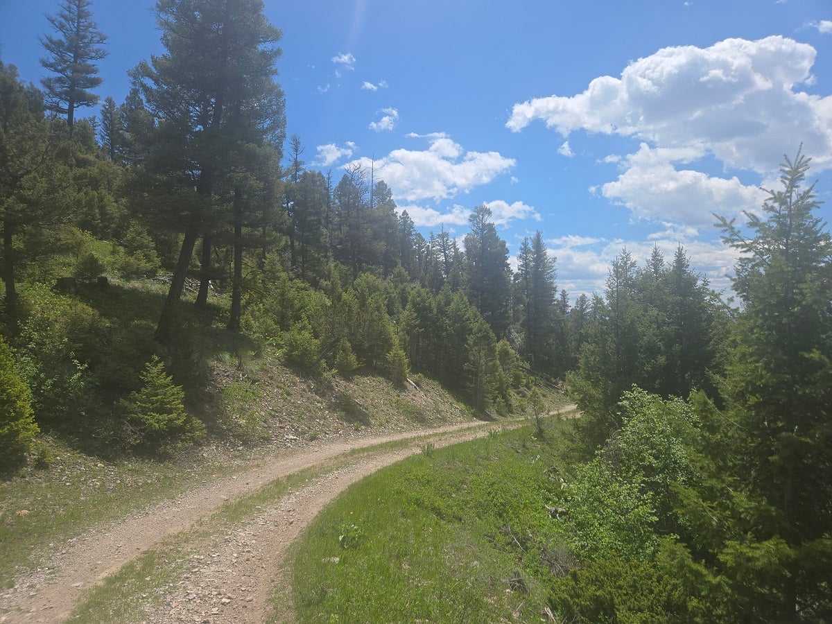 2 Big Sky Ridge Road Drummond, MT 59832 - Photo 15 of 24 Gallery Image 15