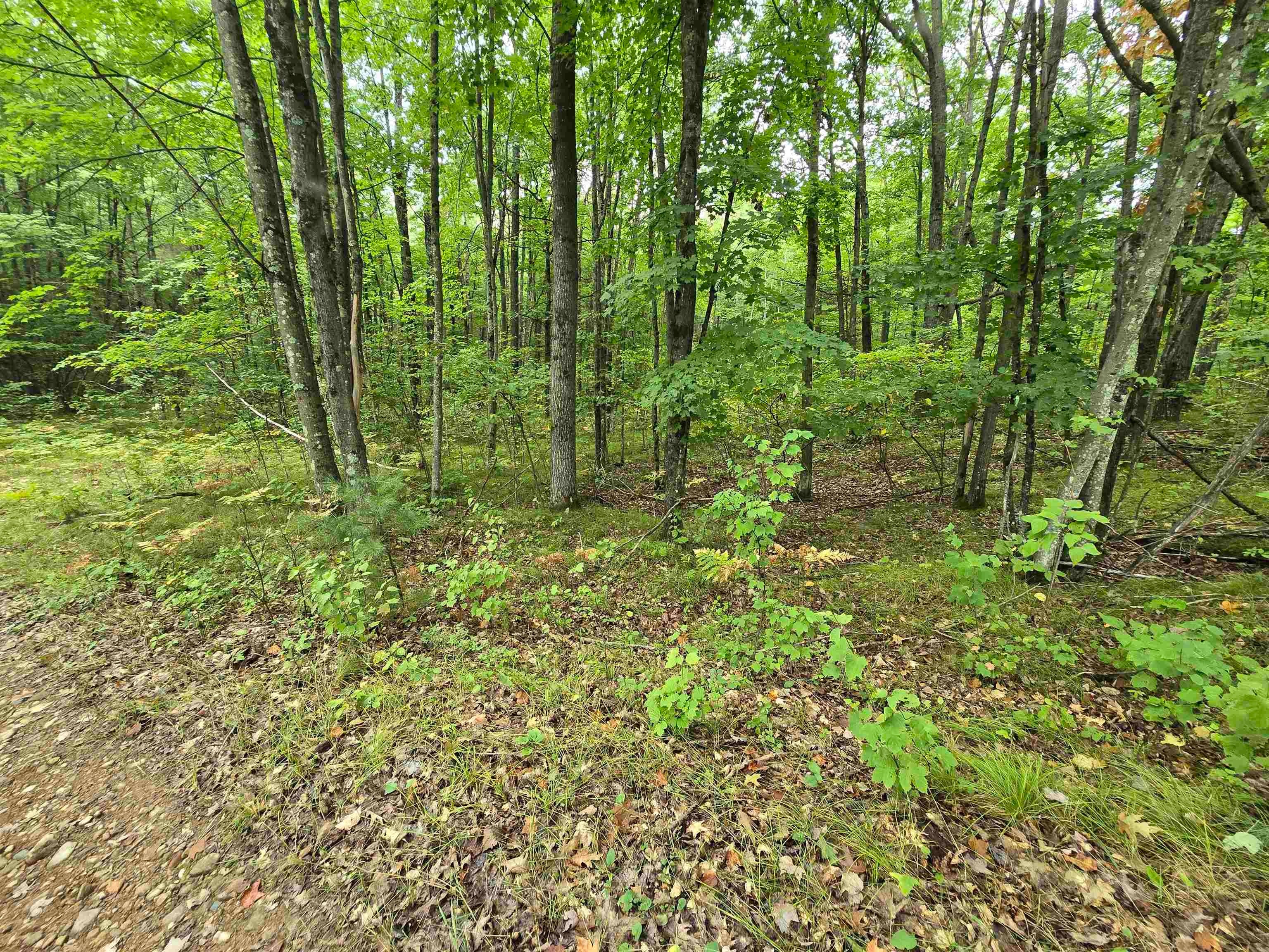 5-acres Roush Road Wausaukee, WI 54177 - Photo 1 of 5 Gallery Image 1