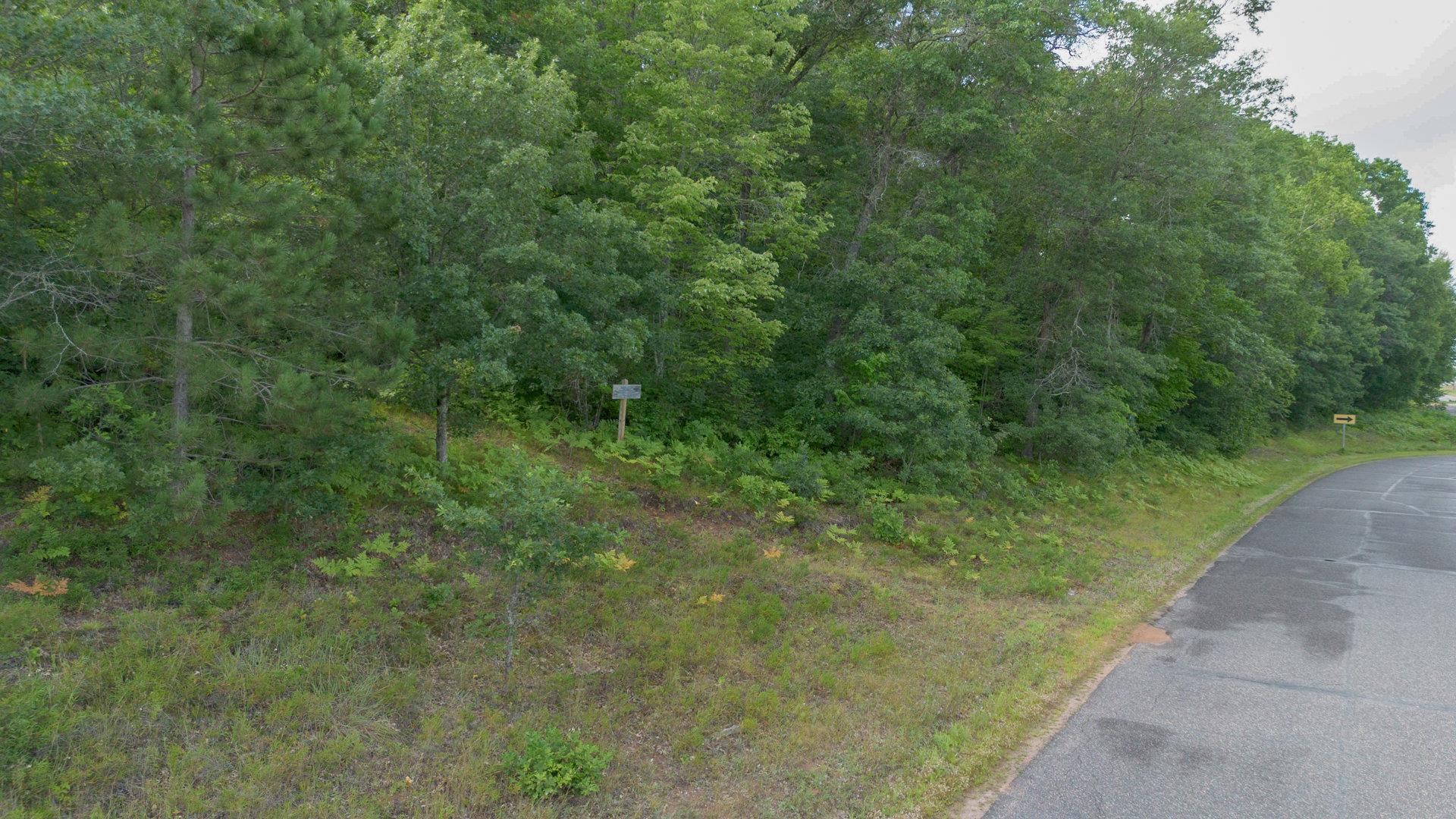 11857 South Holly Lucius Road Solon Springs, WI 54873 - Photo 2 of 8 View of street featuring a wooded view
