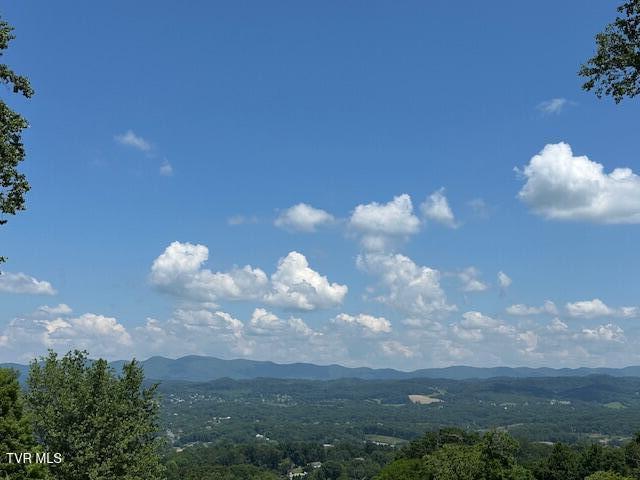 4617 Old Stage Road Kingsport, TN 37664 - Photo 101 of 122 VIEWS