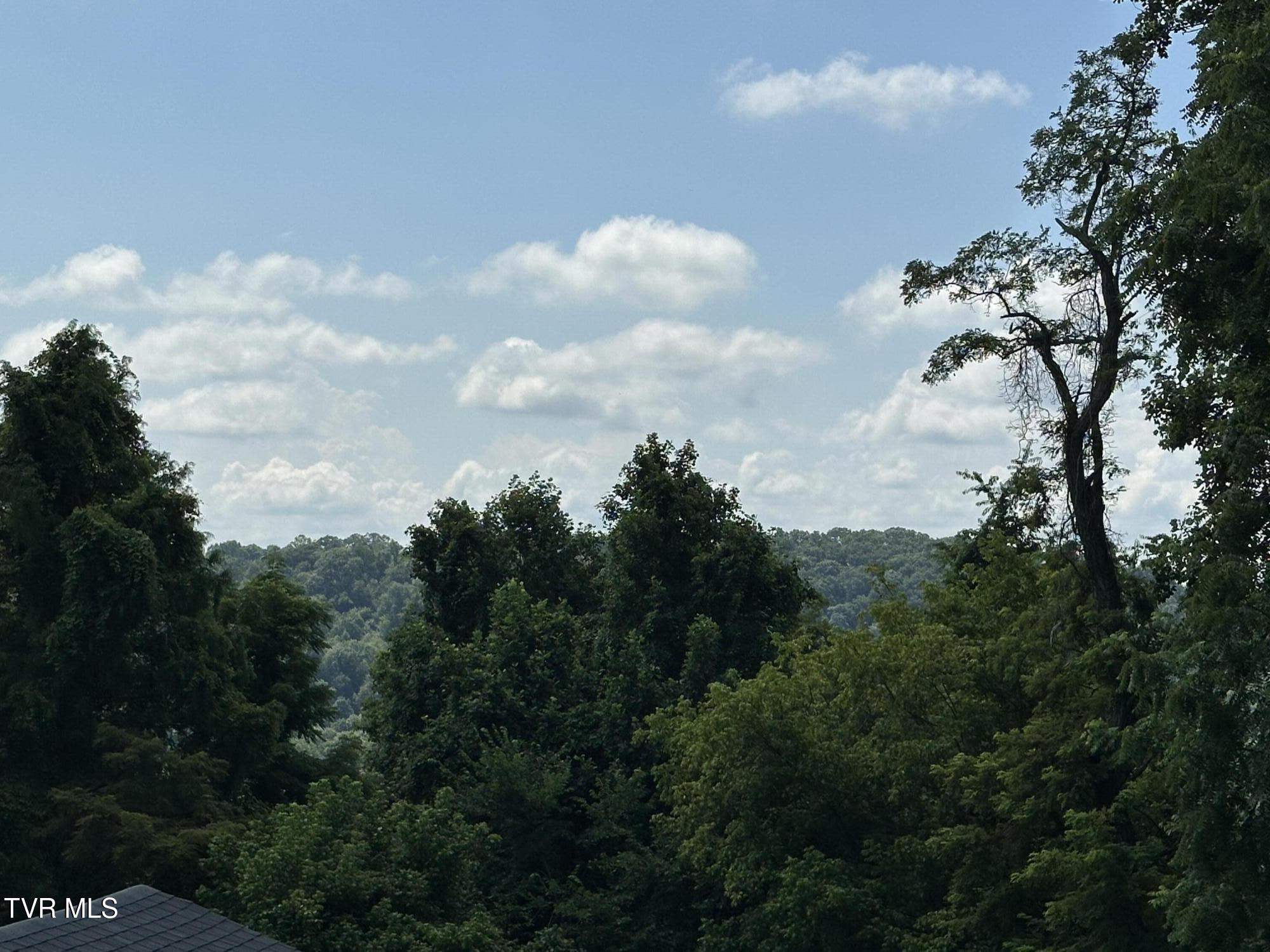 4617 Old Stage Road Kingsport, TN 37664 - Photo 105 of 122 BACK YARD VIEWS