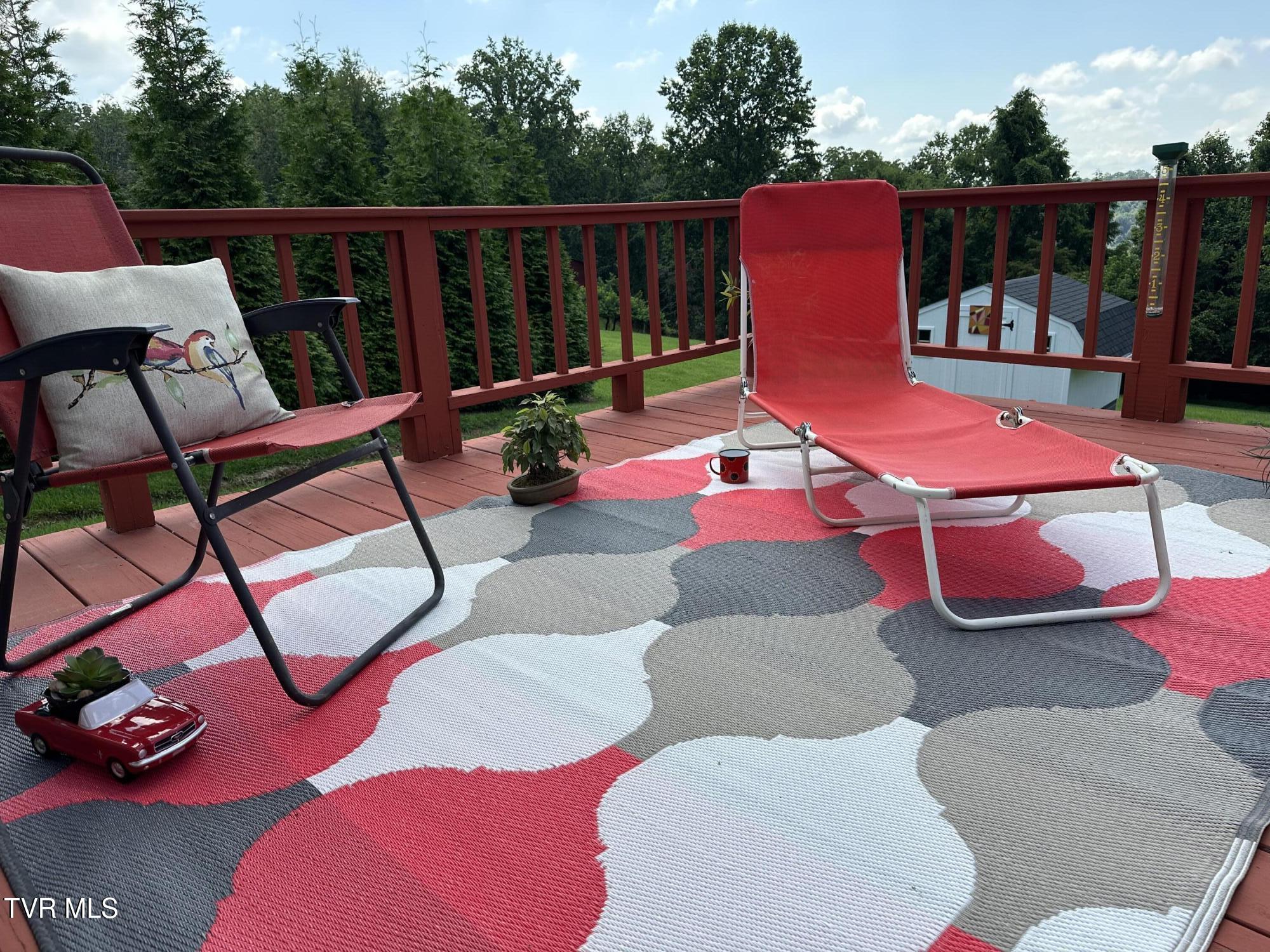 4617 Old Stage Road Kingsport, TN 37664 - Photo 3 of 122 ENJOY RELAXING ON BACK DECK