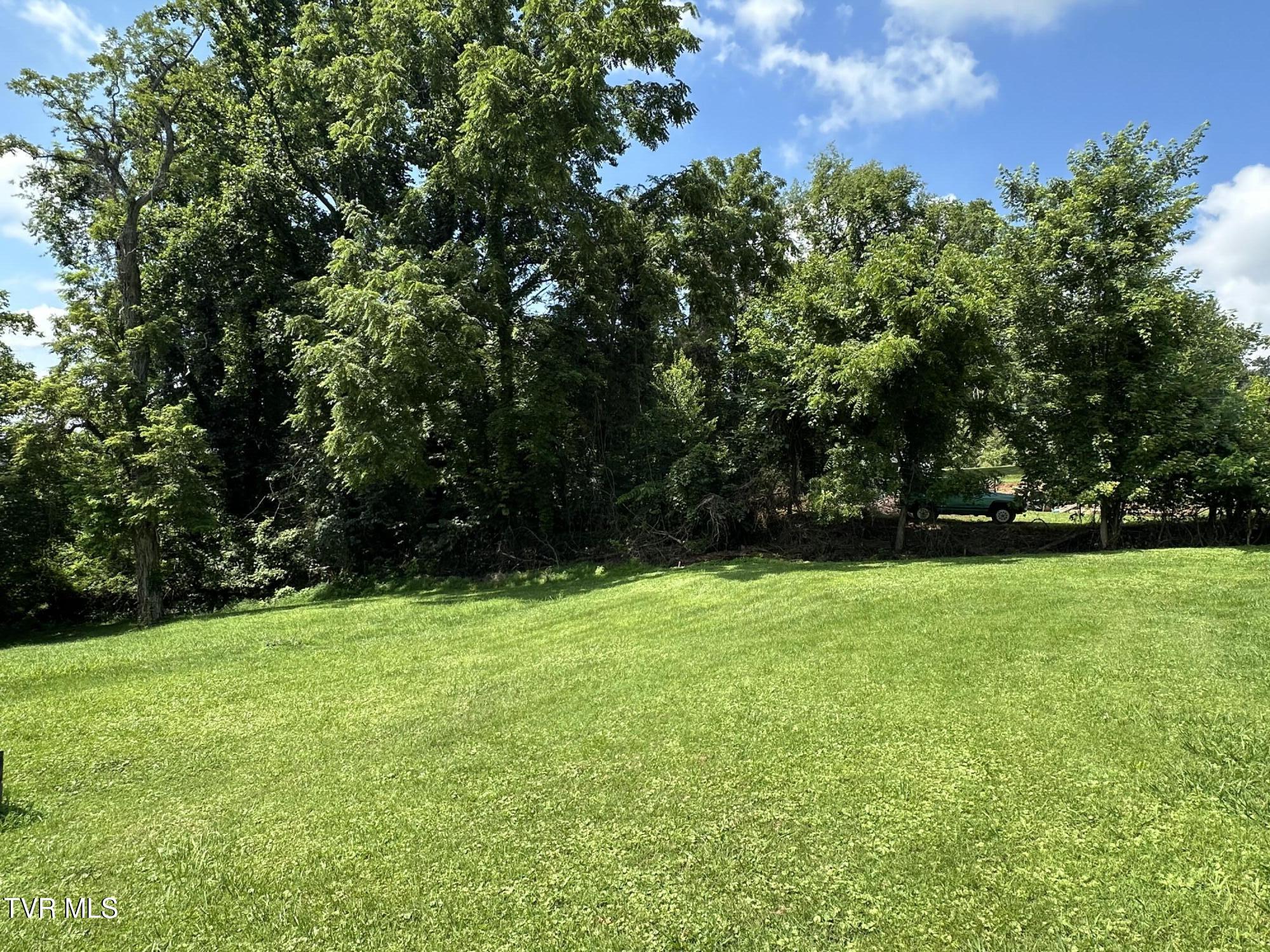 4617 Old Stage Road Kingsport, TN 37664 - Photo 60 of 122 BACK VIEWS