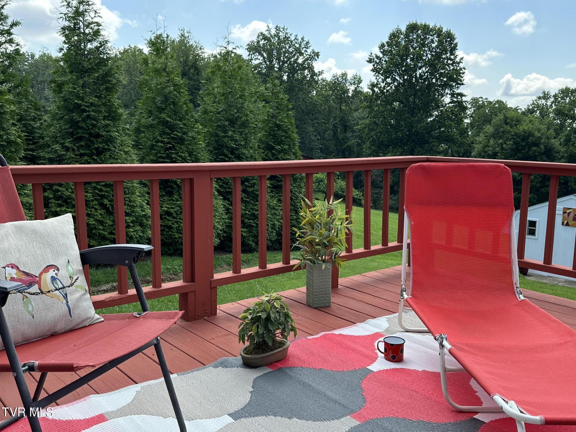 4617 Old Stage Road Kingsport, TN 37664 - Photo 75 of 122 RELAX HERE