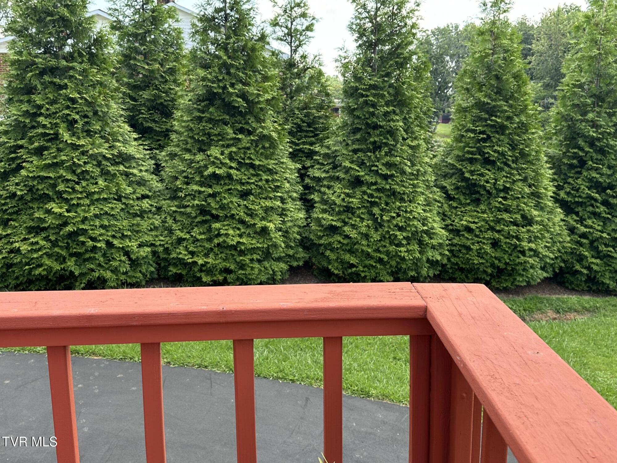 4617 Old Stage Road Kingsport, TN 37664 - Photo 83 of 122 Green privacy both sides