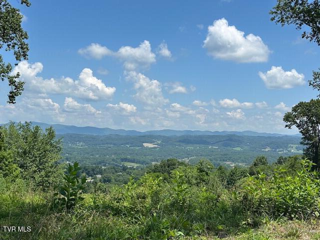 4617 Old Stage Road Kingsport, TN 37664 - Photo 99 of 122 VIEWS FROM OLD STAGE RD.