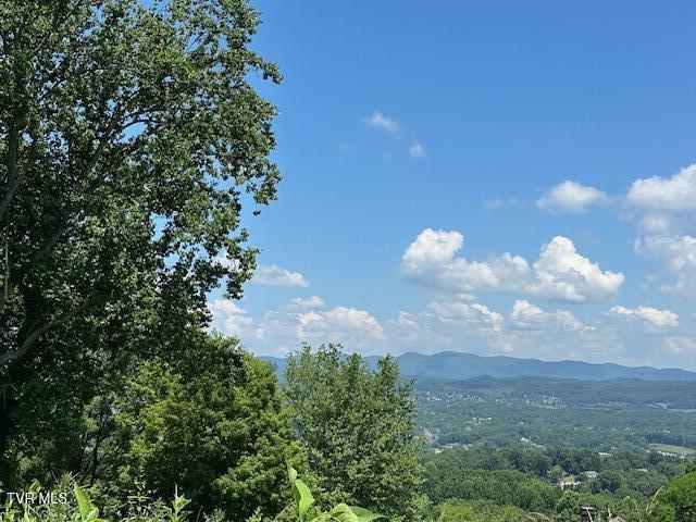 4617 Old Stage Road Kingsport, TN 37664 - Photo 100 of 122 VIEWS
