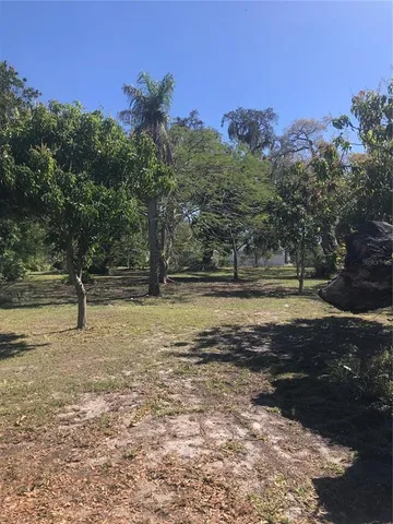 a view of a yard with a tree