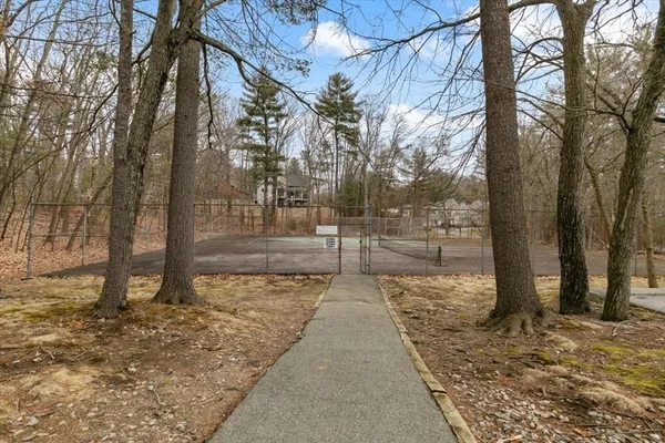 a view of a pathway of a yard with trees