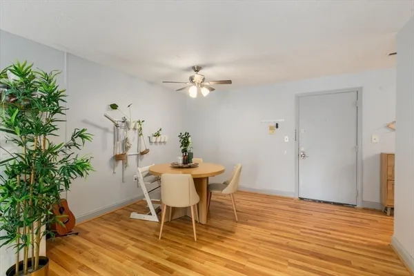 a view of a dining room with furniture and a potted plant