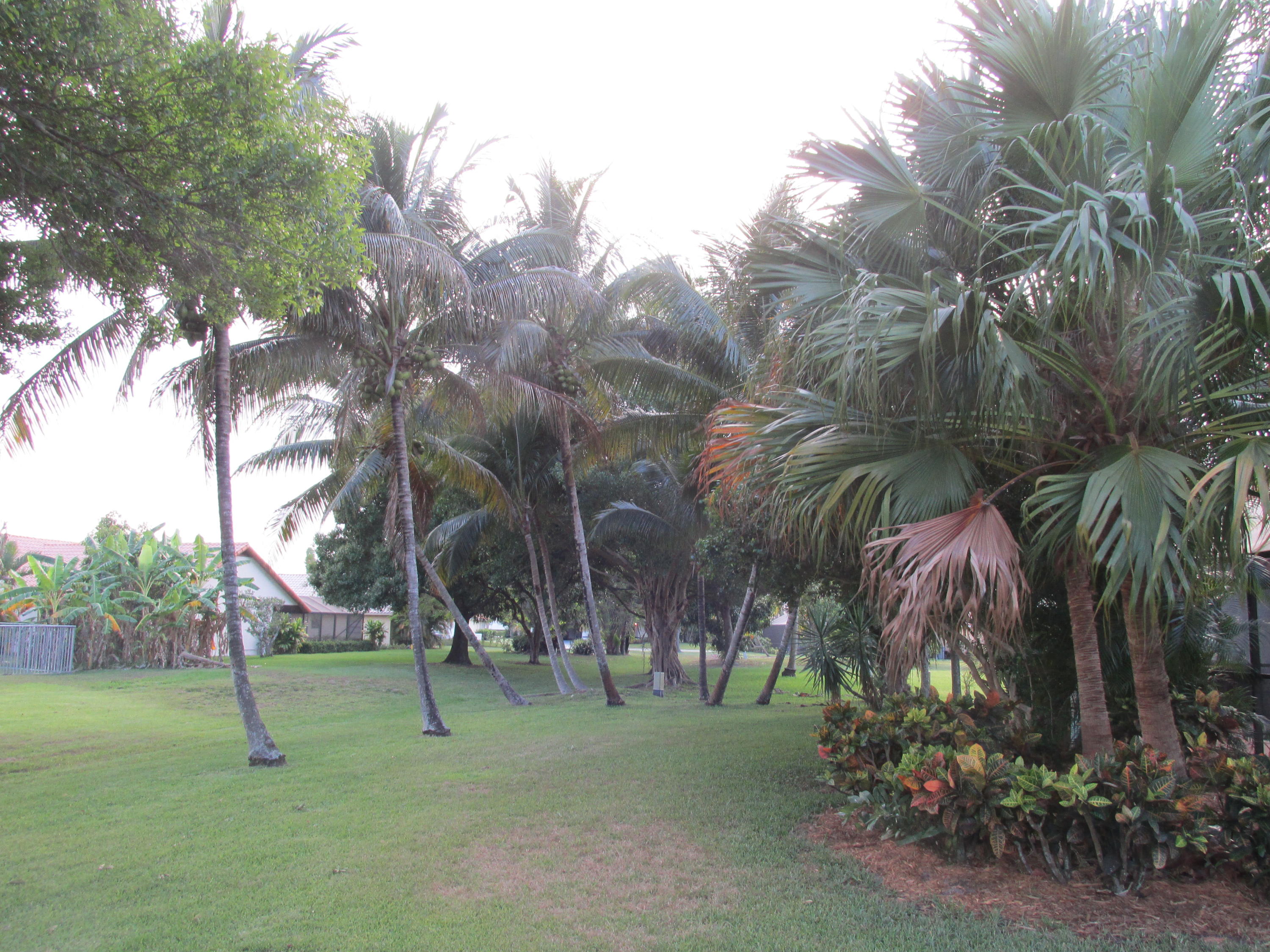 18530 Anchor Drive Boca Raton, FL 33498 - Photo 44 of 46 IMG_3133