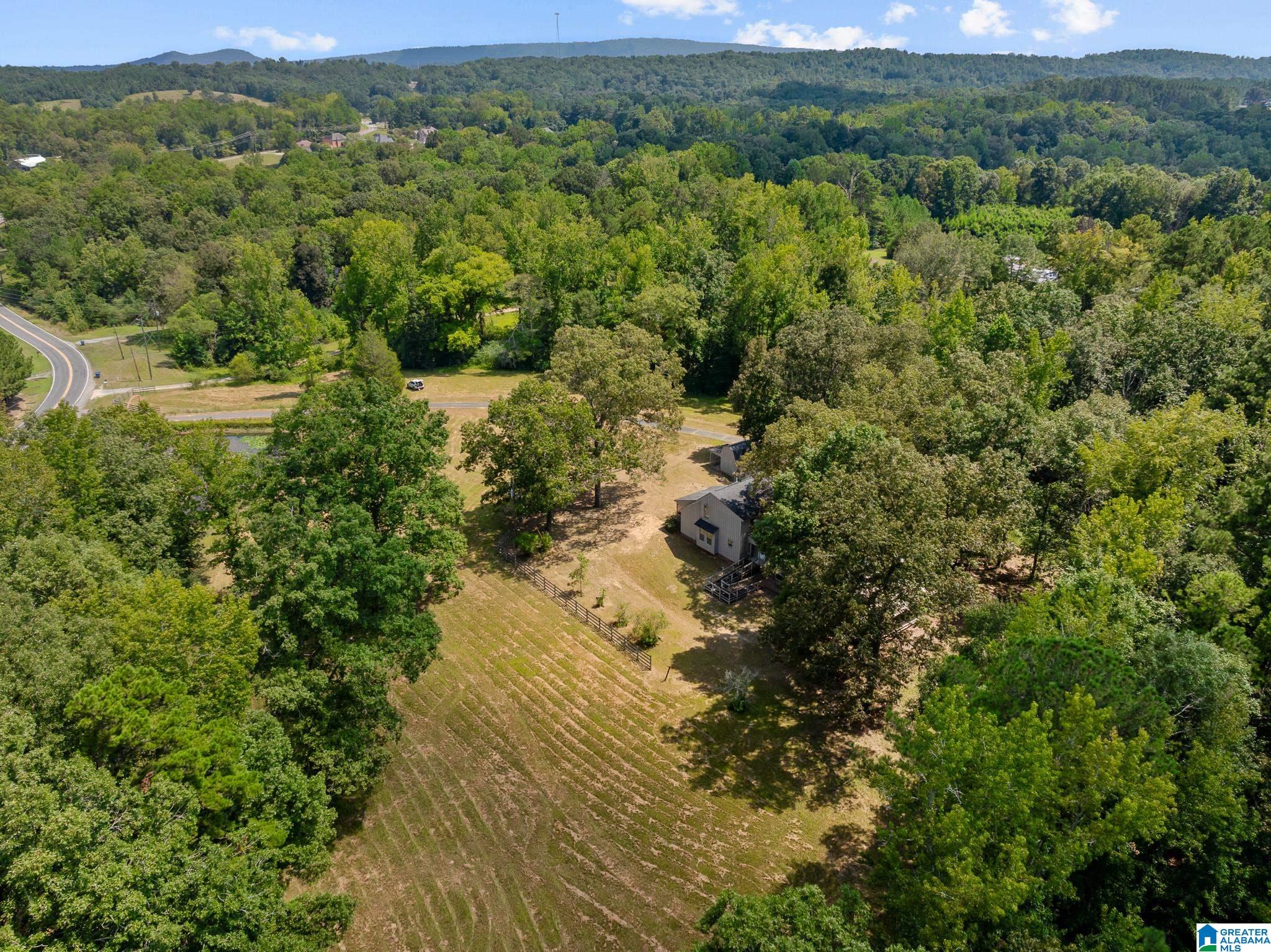 1695 Sanie Road Odenville, AL 35120 - Photo 50 of 63