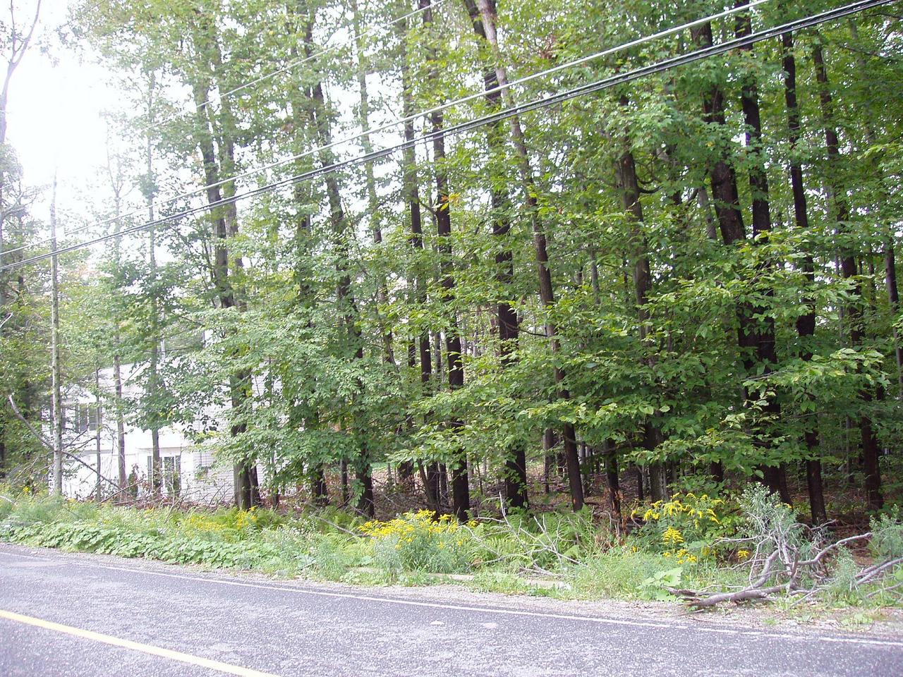1117 Titania Road Tobyhanna, PA 18466 - Photo 1 of 8 a backyard of a house with lots of green space and fountain
