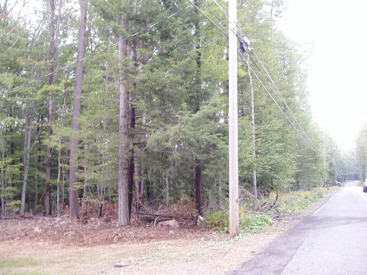 1117 Titania Road Tobyhanna, PA 18466 - Photo 8 of 8 a view of a forest