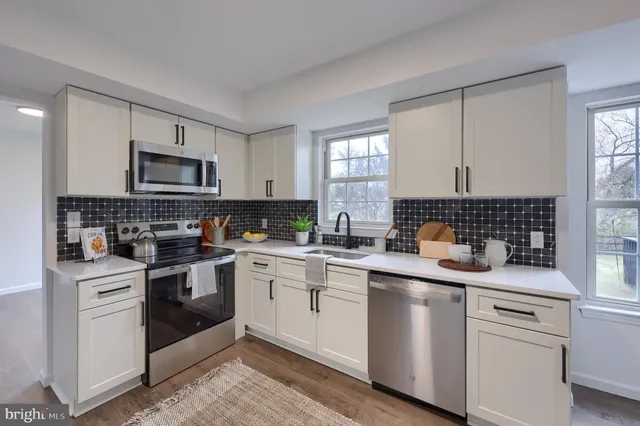 a kitchen with a sink and a potted plant