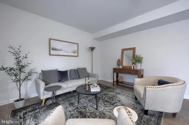 a living room with furniture a rug potted plant and a window