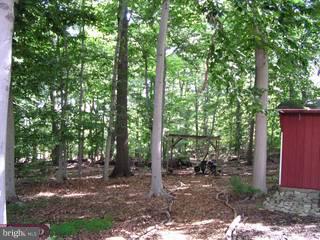 2309 Huntingdon Road Huntingdon Valley, PA 19006 - Photo 6 of 6 Gallery Image 6