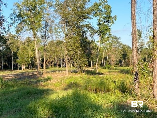 16108 Old Pierce Road Fairhope, AL 36532 - Photo 7 of 14