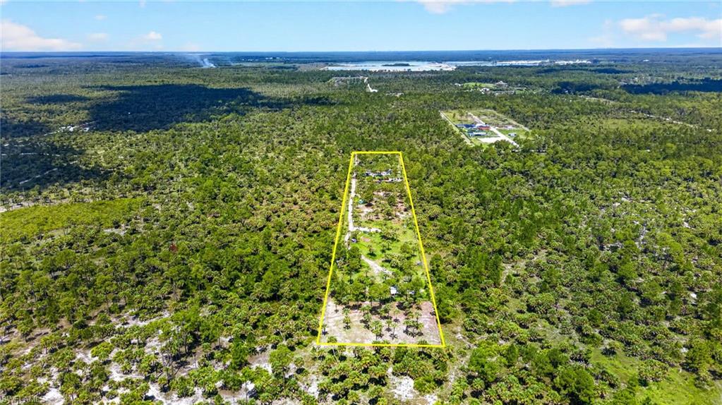Naples Fl Naples Way Naples, FL 34117 - Photo 9 of 12 Expansive undeveloped land parcel outlined in yellow, featuring varied natural vegetation