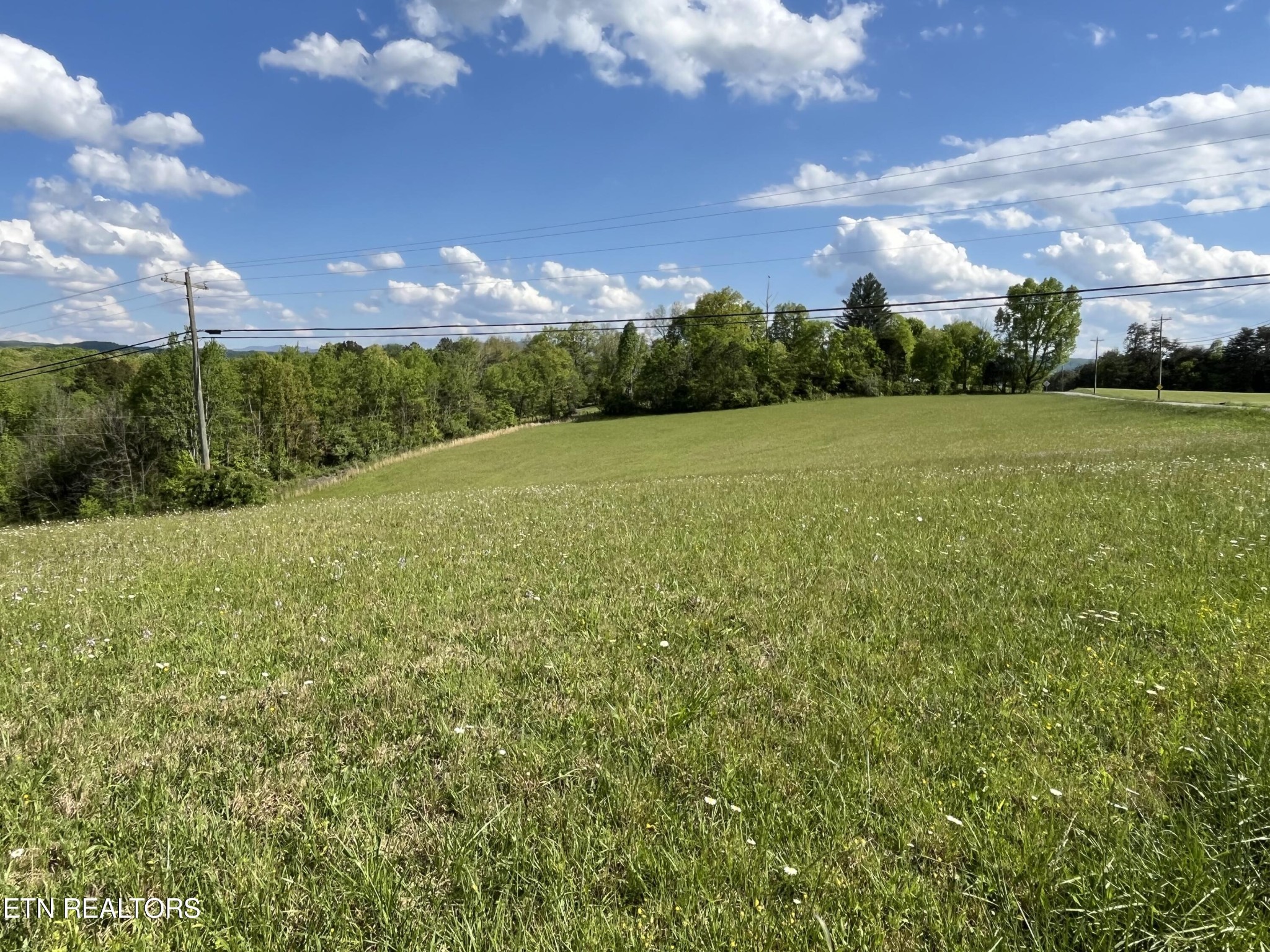 5 Fairview Road Tellico Plains, TN 37385 - Photo 2 of 11 Gallery Image 2