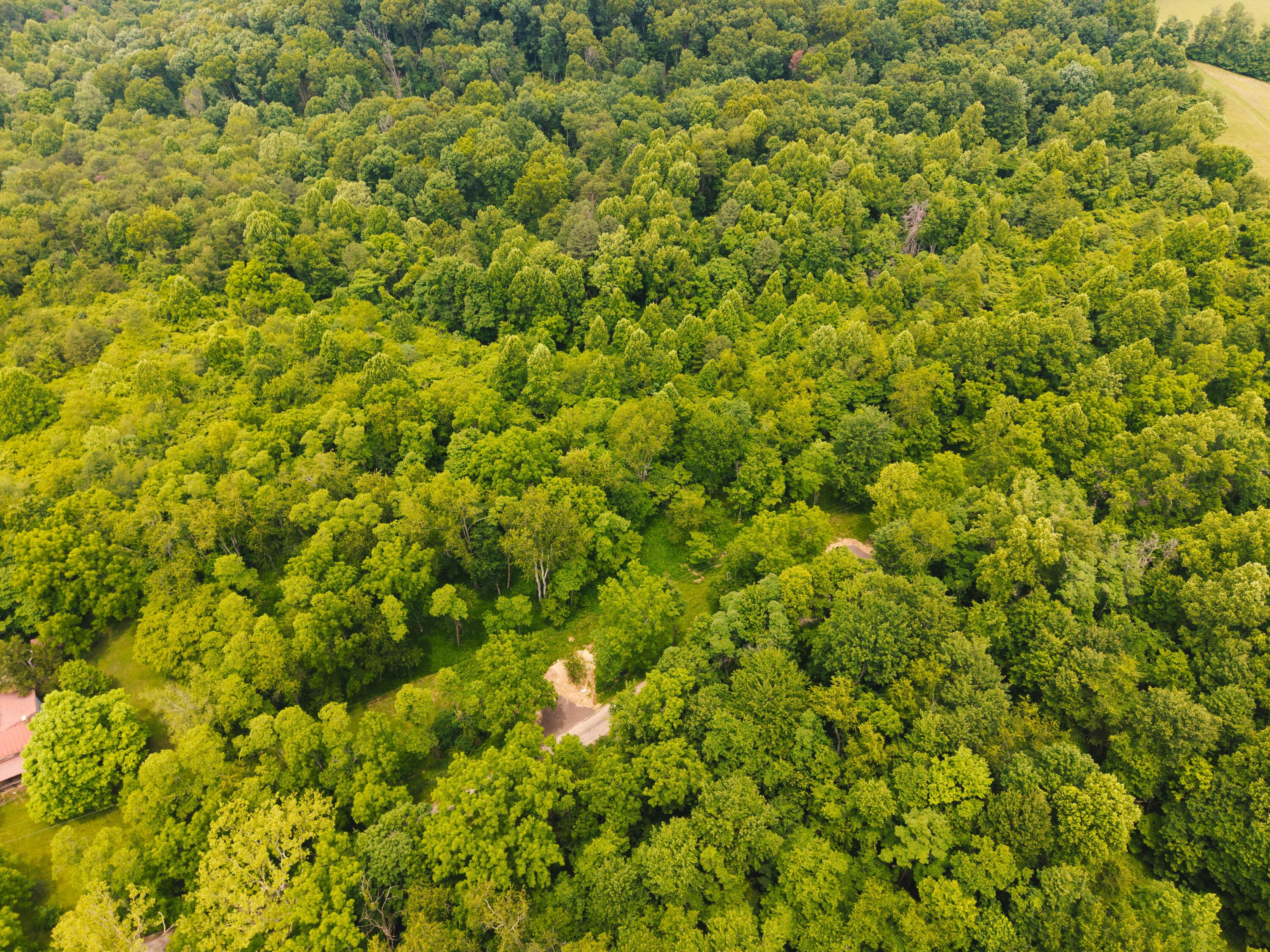 0 Unger Road, Unit LOT F Logan, OH 43138 - Photo 11 of 14