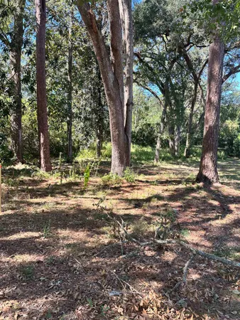 $195,000 | Xxx Trescott Drive, Tallahassee, FL 32308