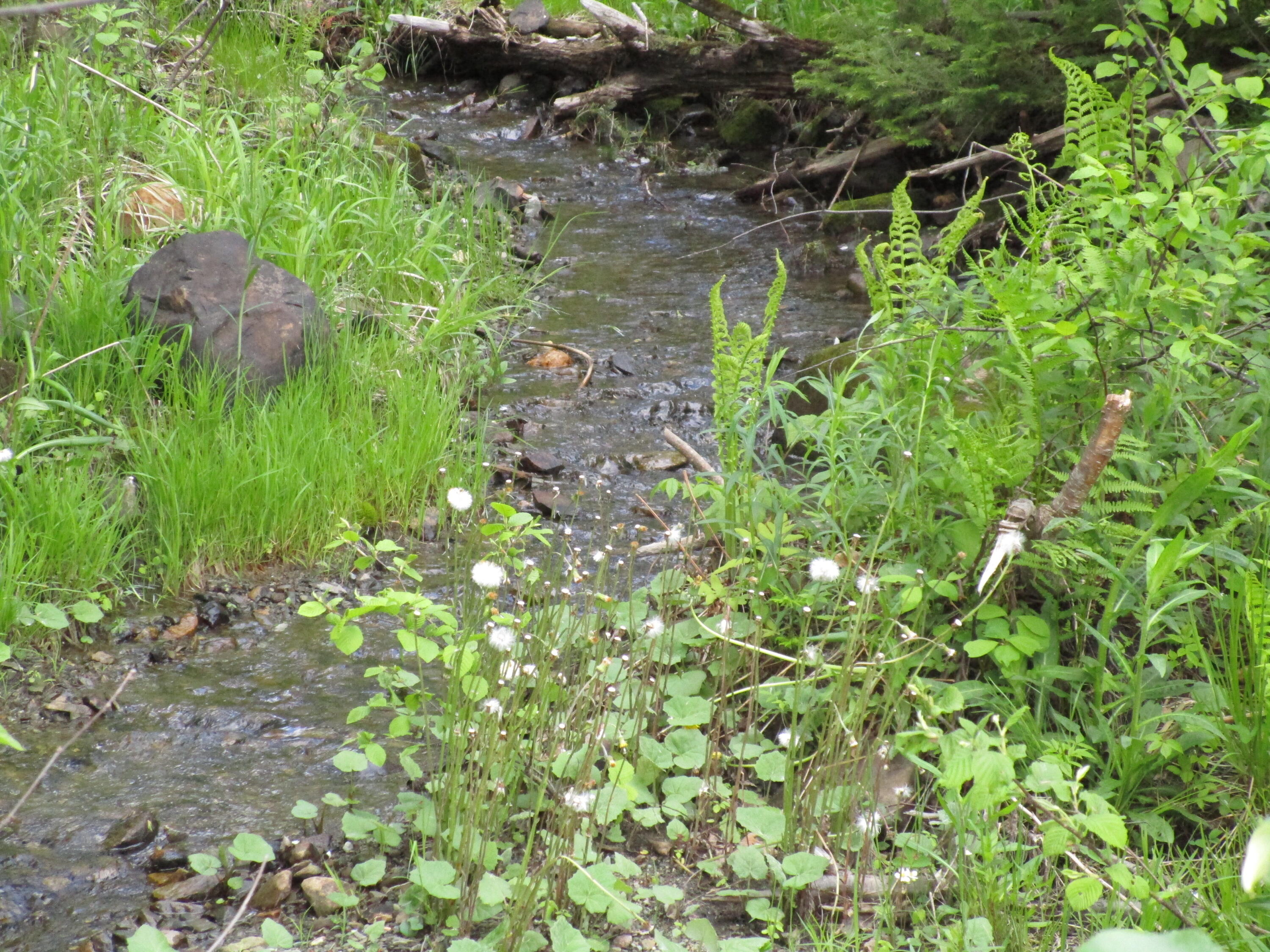 2913 State Road Mapleton, ME 04757 - Photo 5 of 28 IMG_5437