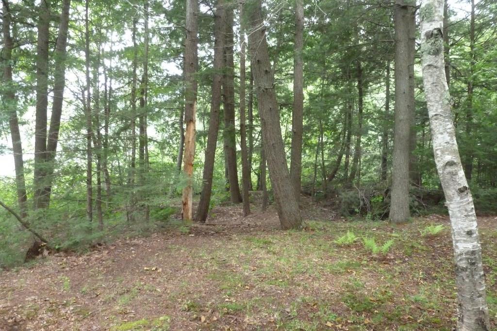 104 Torsey Shores Road Readfield, ME 04355 - Photo 21 of 25 Photo