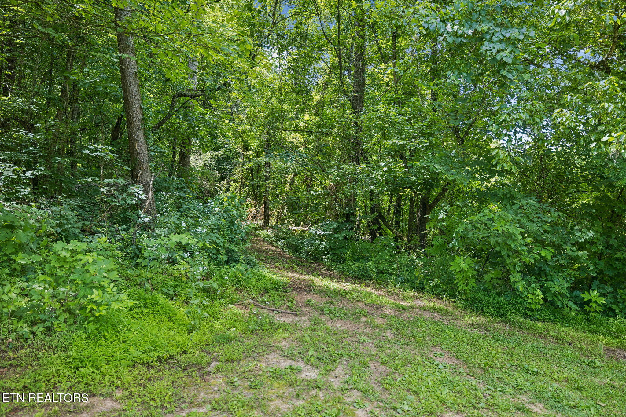 Knob Road Rutledge, TN 37861 - Photo 27 of 46 23-344 Knob Rd - 023