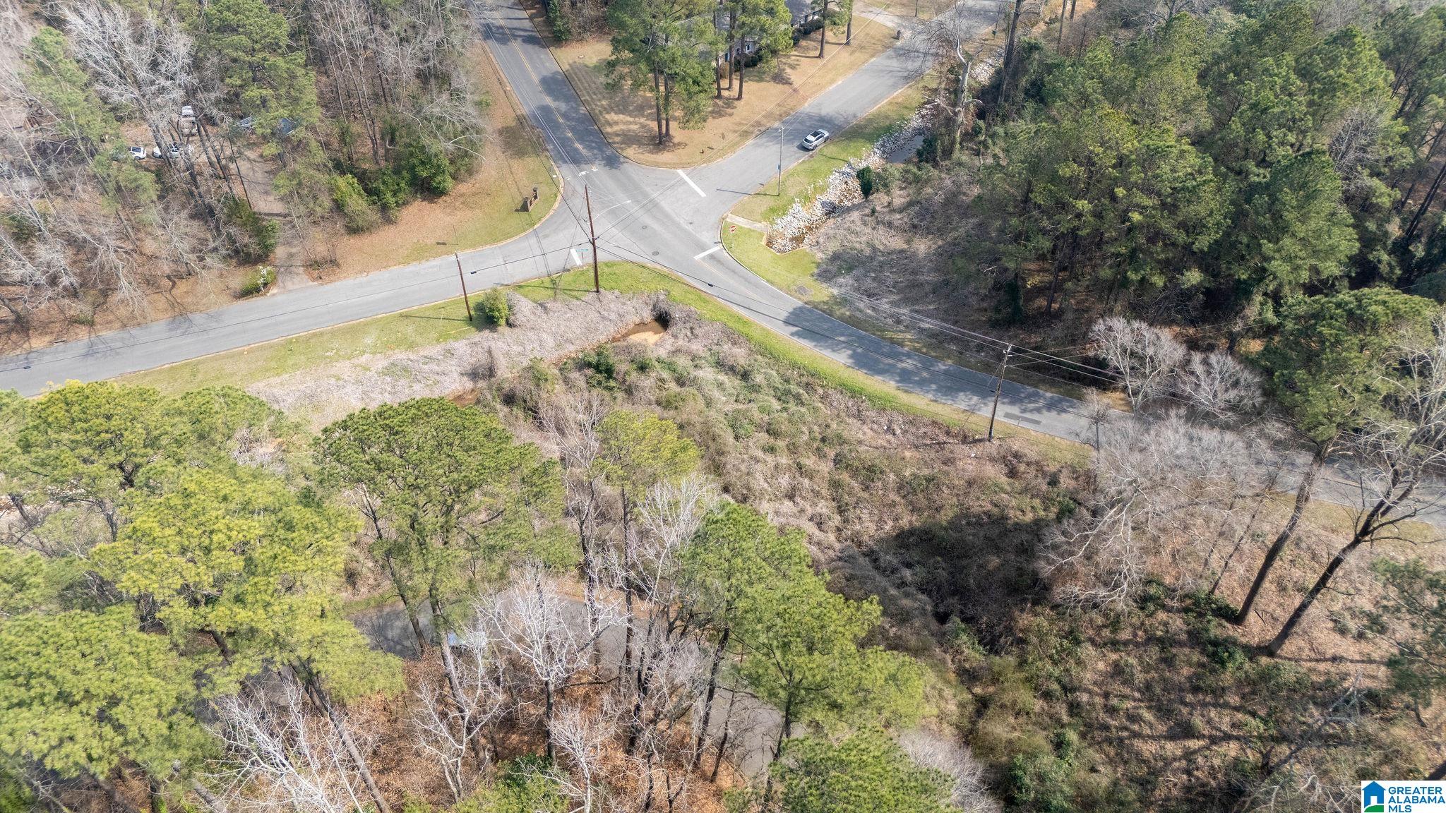 0 Woodland Road, Unit 1 Tuscaloosa, AL 35405 - Photo 10 of 16