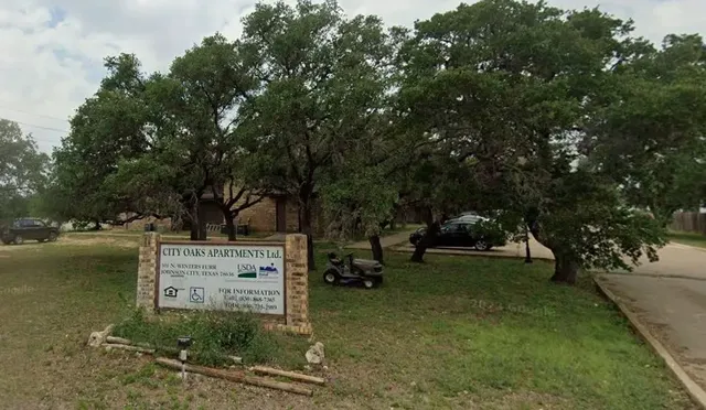 a view of a park with large trees