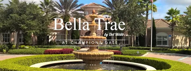 a view of a swimming pool with a yard and plants