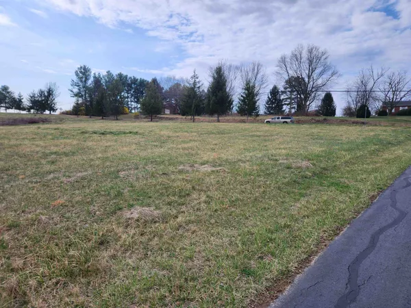 a view of a field with trees