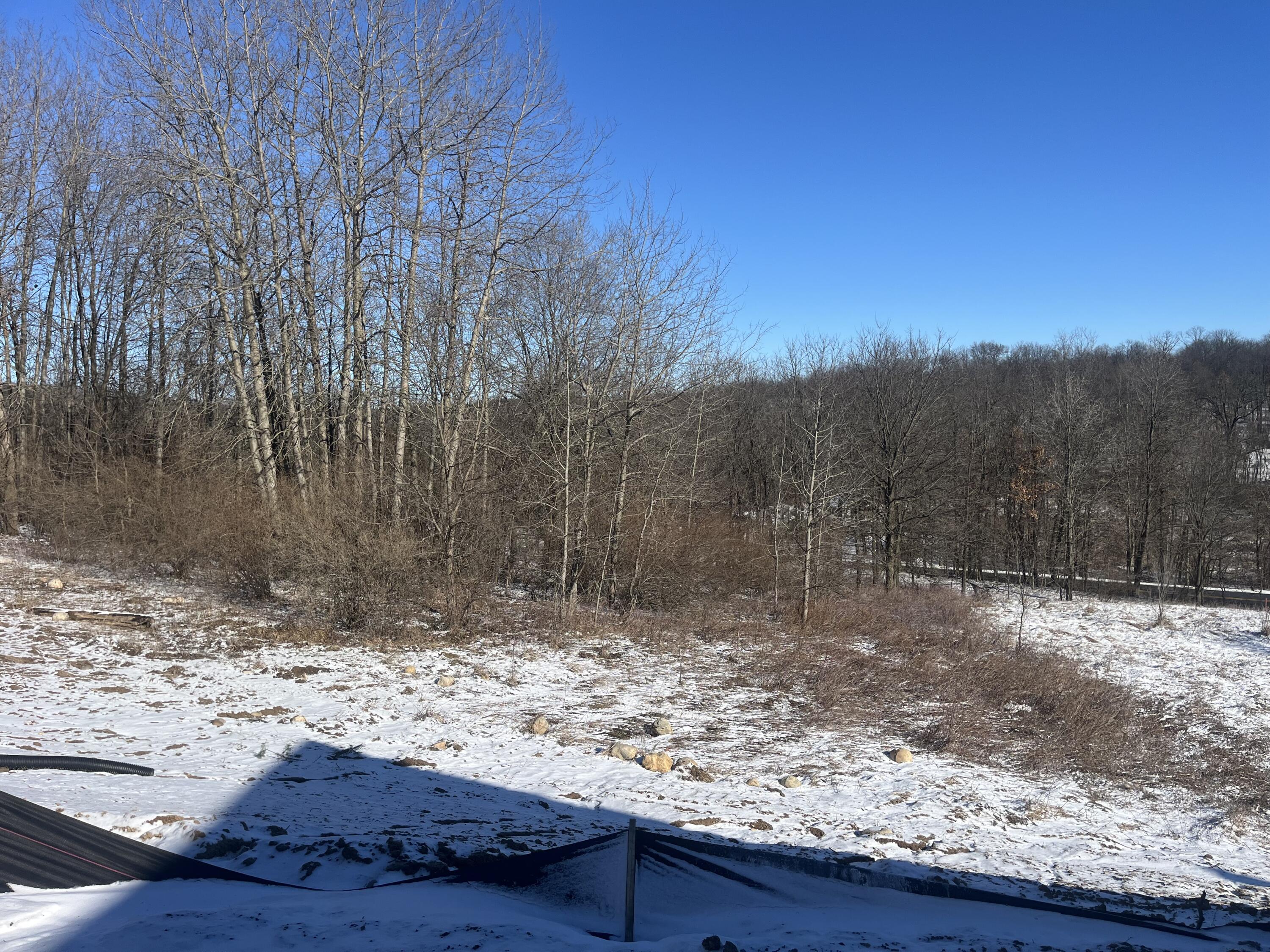 1396 Ctr Hl Road, Unit 52 Lowell, MI 49331 - Photo 32 of 32 IMG_4882