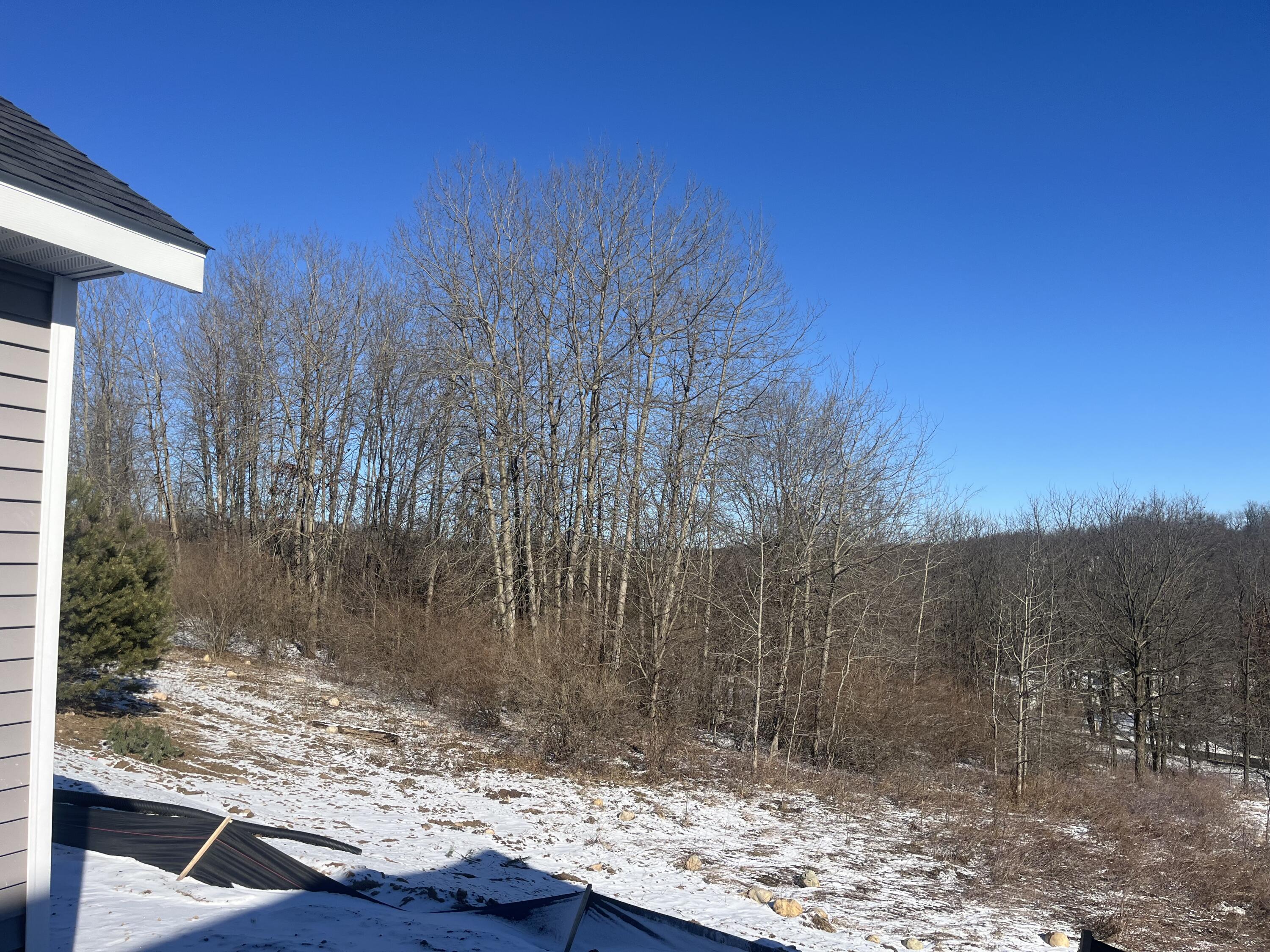 1396 Ctr Hl Road, Unit 52 Lowell, MI 49331 - Photo 4 of 32 IMG_4880