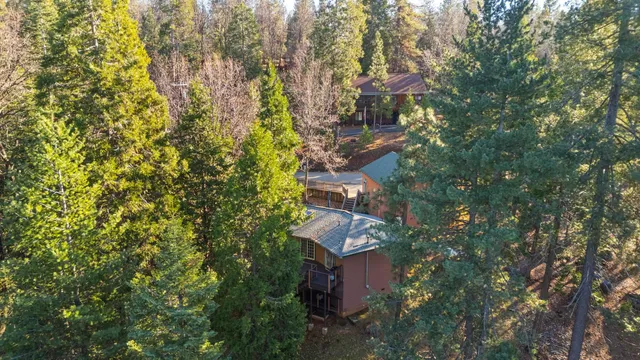 a view of a lot of trees and sunset